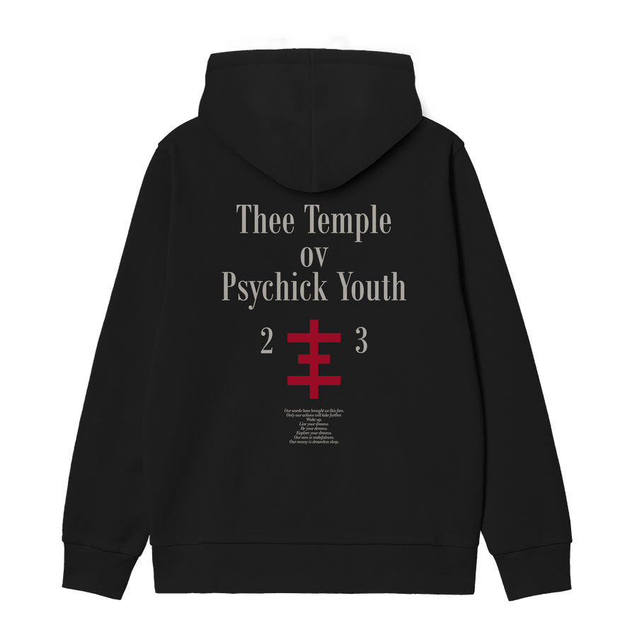Thee temple ov psychick youth - Unisex Hoodie - Paint It Black